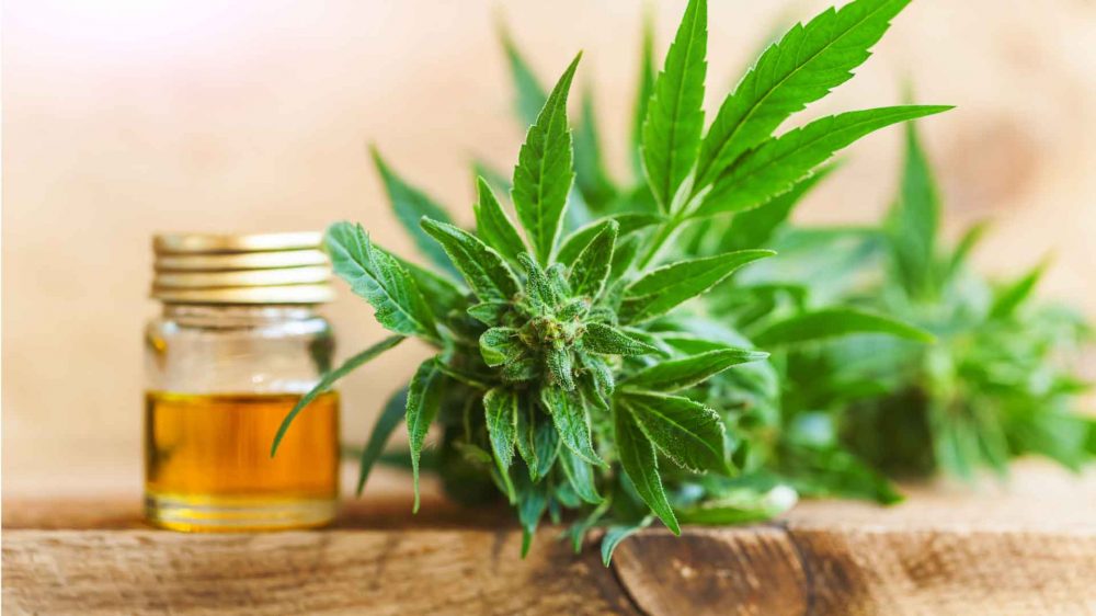 It is important to buy CBD Legal to avoid low-quality products